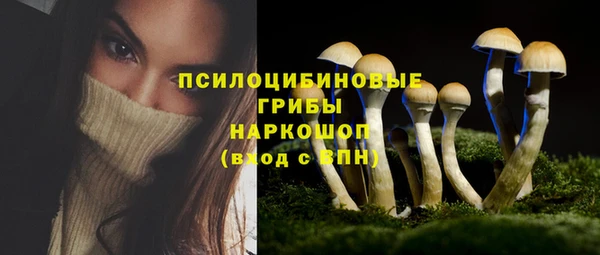 дмт Магадан