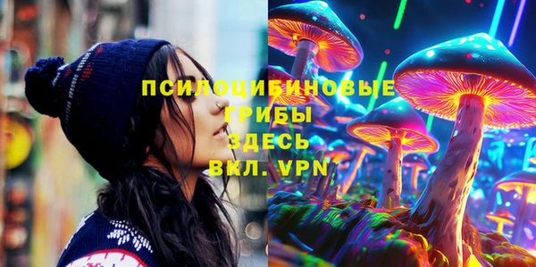 дмт Магадан