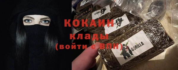 индика Майский