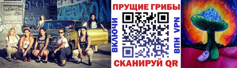 Галлюциногенные грибы Cubensis Шатура
